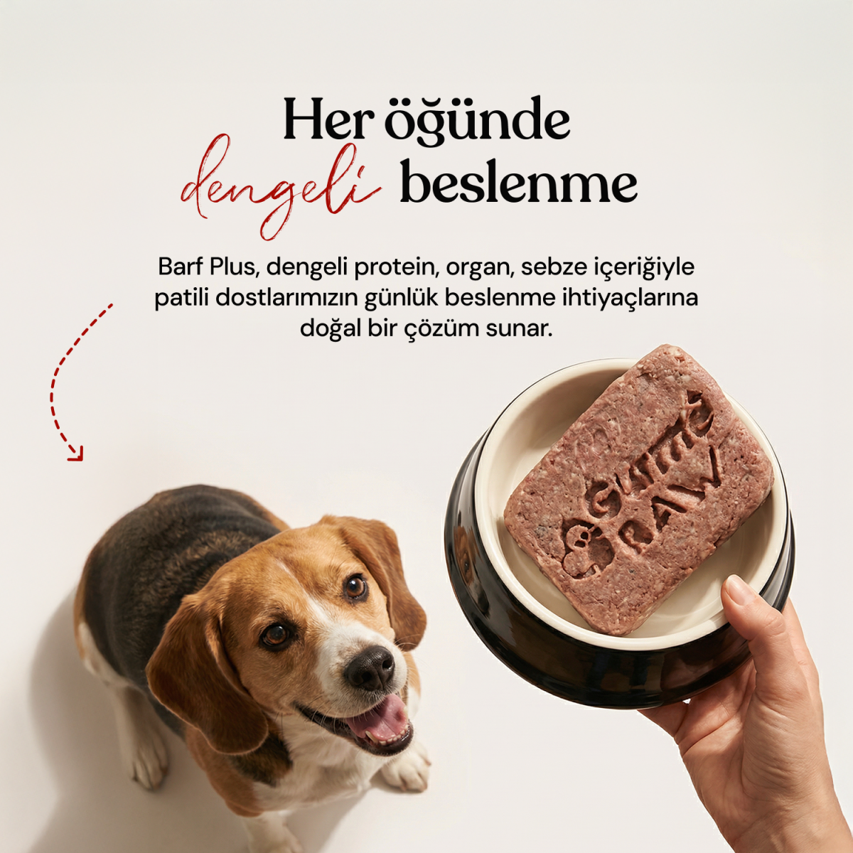 Alternative view of Barf Plus