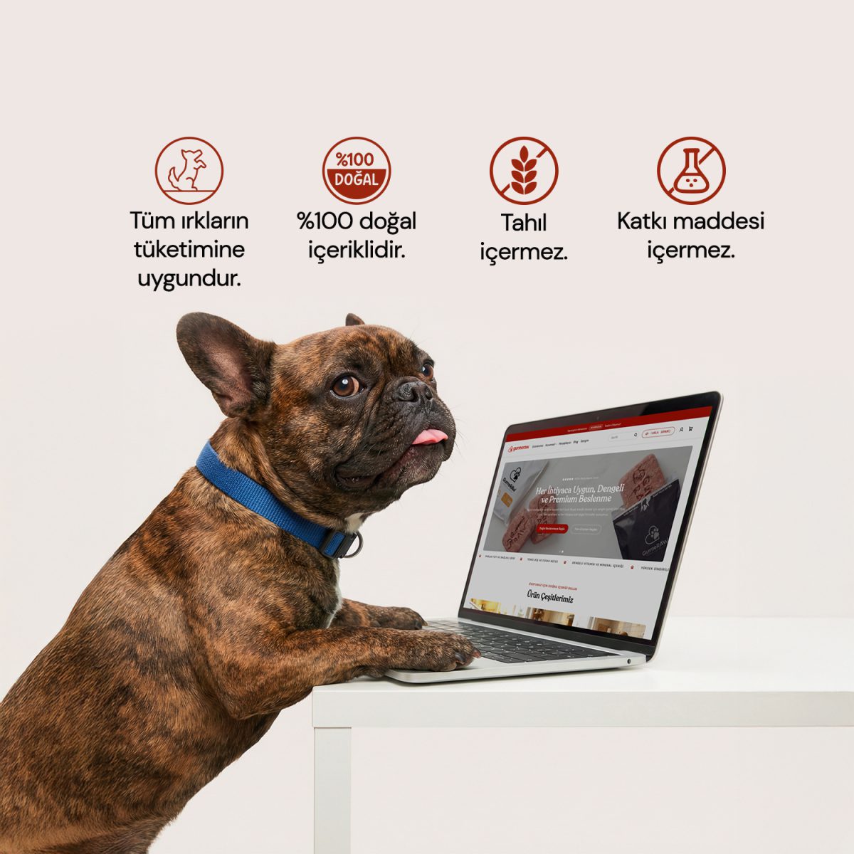 Alternative view of Barf Duck Royal + Barf Plus Extra