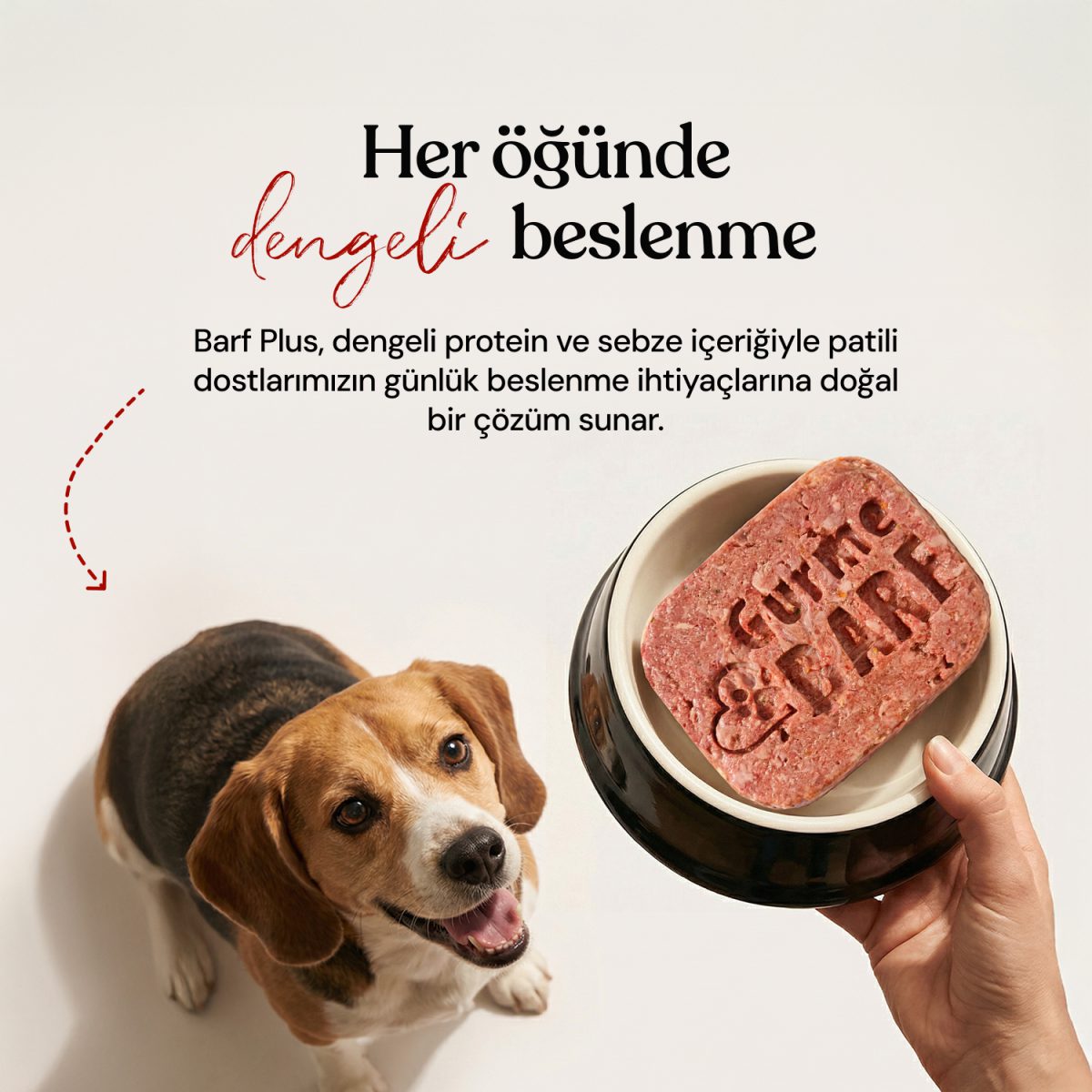 Alternative view of Barf Plus